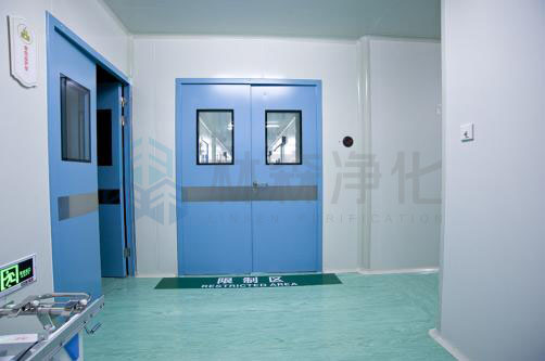 Cleanroom Door