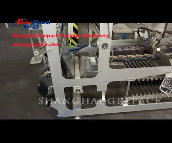 HFFS Stand up/doypack Zipper Pouch Packing Machine