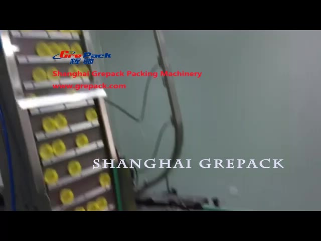 XF-105 automatic press capping machine