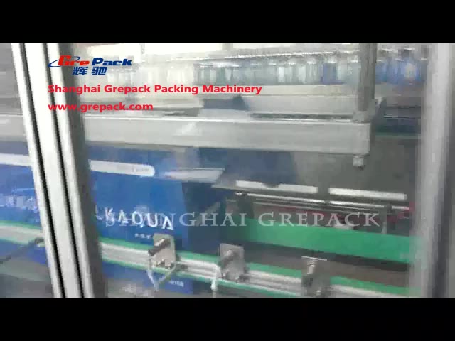 Full Automatic Falling Type Case Packer HC-ZX02