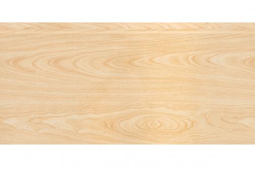 Lightweight interior wall panel building materials