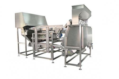 LD Series Belt-Type Color Sorter