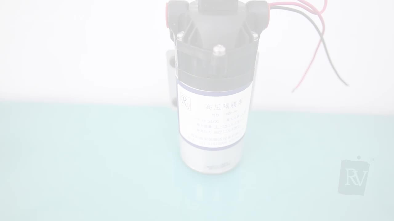 RV80 Diaphragm Pump (Ductile Iron)