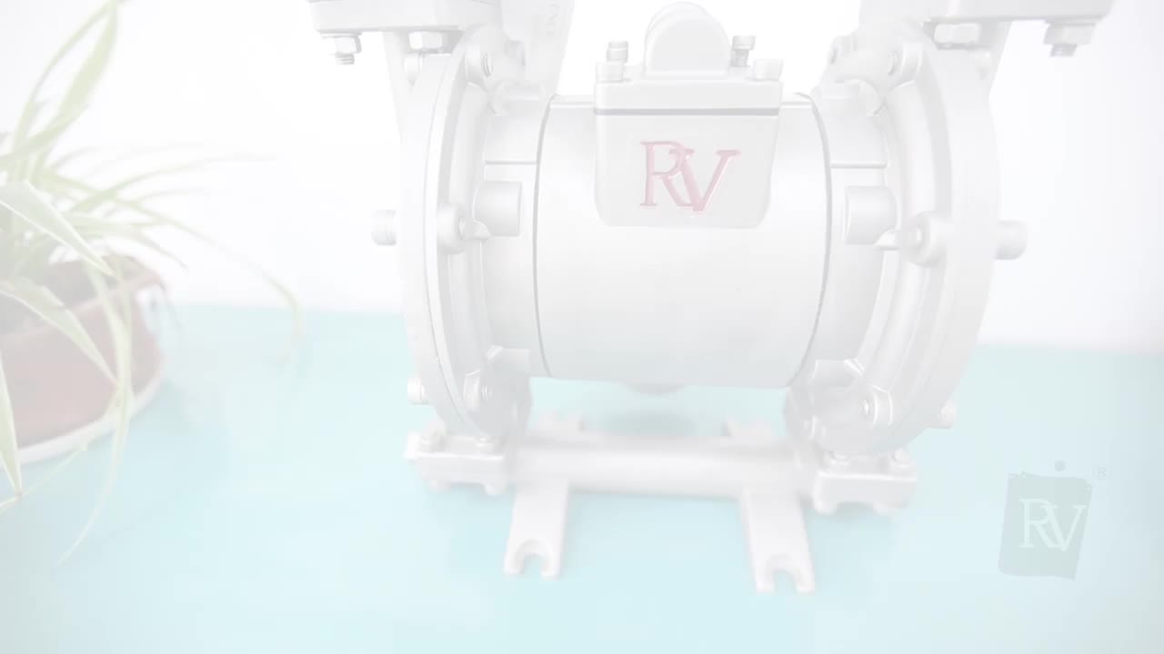 RV25 Diaphragm Pump (Full Stainless Steel)