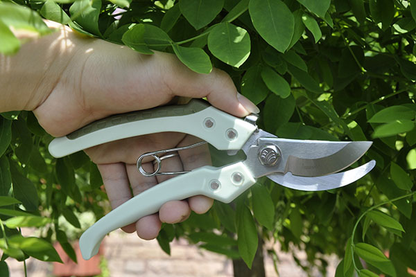 8" Deluxe Bypass Pruner wanted-Choose 8" Deluxe Bypass Pruner