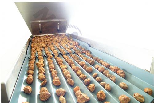 Preserved Fruit Counting and Packaging Machine