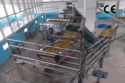 Seasoning Cubes/Cheese Cubes Counting And Packaging Machine
