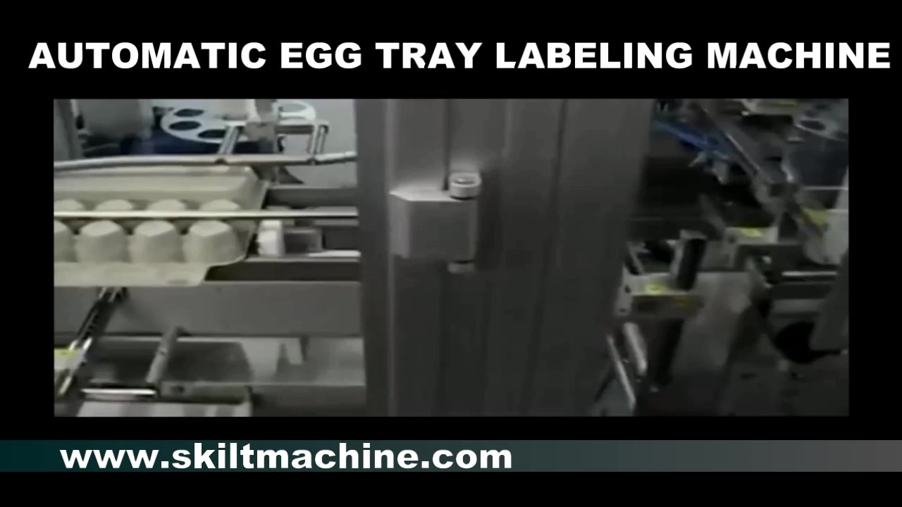 Egg carton Labeling Machine