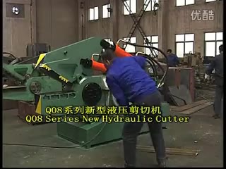 Alligator Shear Q08-100