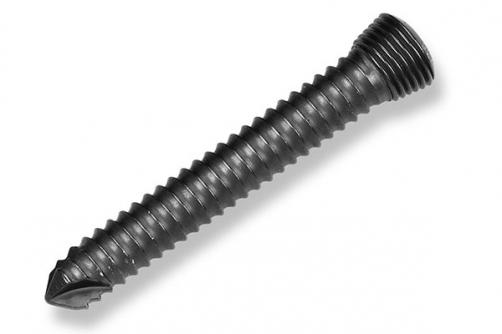 Locking Screw