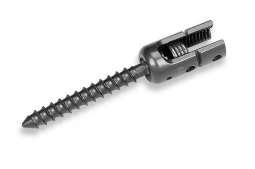 Poly Axial Reduction Screw Single Lock