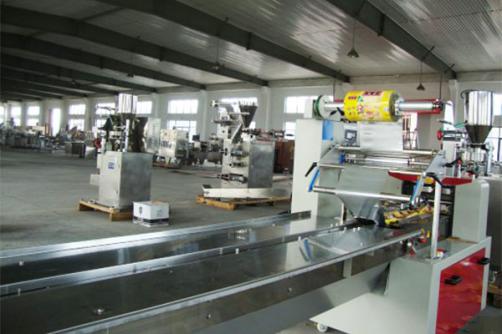 Pillow Type Packer (SD-160)