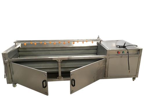 Fruit Washing Machine