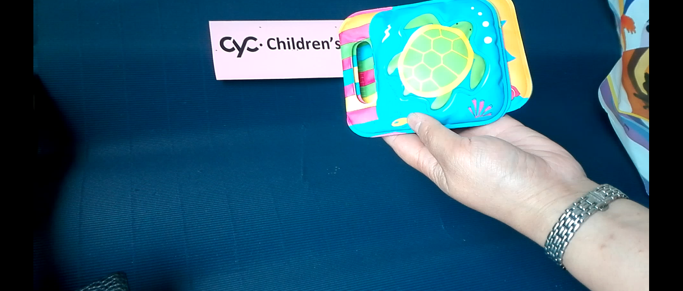 Baby Book with Handle