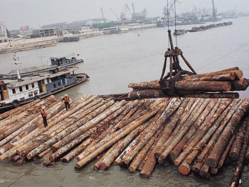 Single Rope Timber Grab