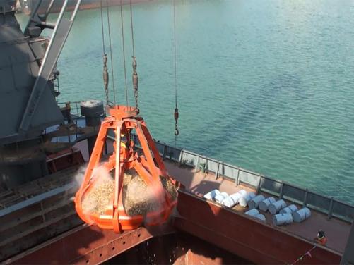 4-rope Orange Peel Grab