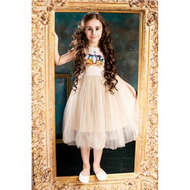 Princess Dress 71855