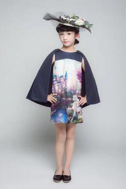 Princess Dress 88988