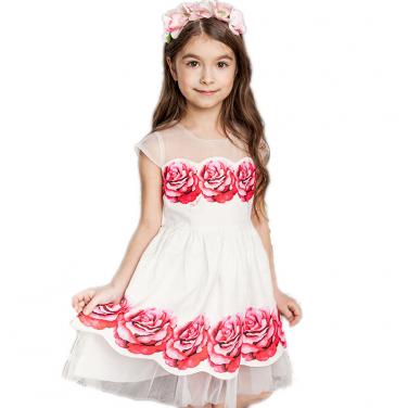 Princess Dress 71845