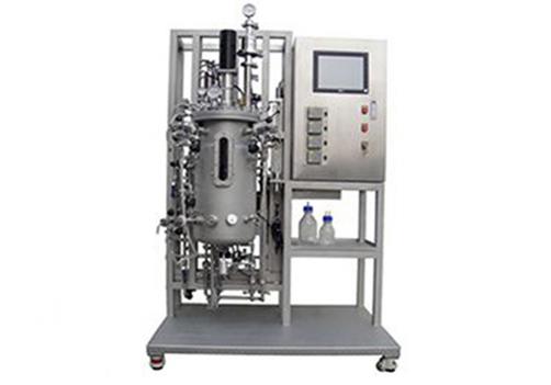 Bio Fermentation Tank