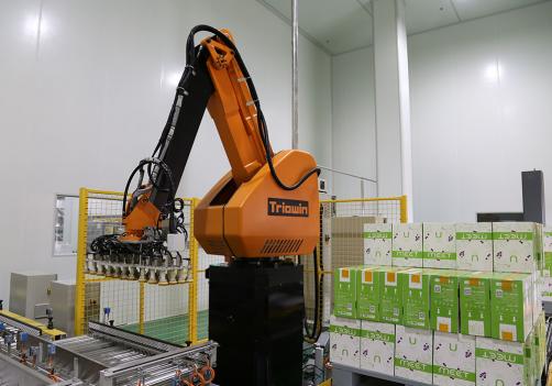 Palletizing Robot