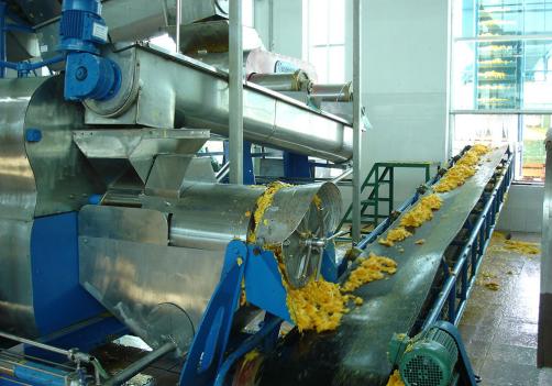 Citrus Processing Line