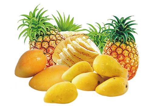 Mango/Pineapple Juice Processing Plant