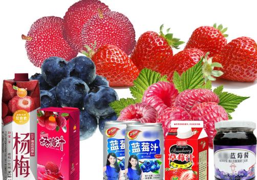 Blueberry/Raspberry/Strawberry Beverage Processing Line