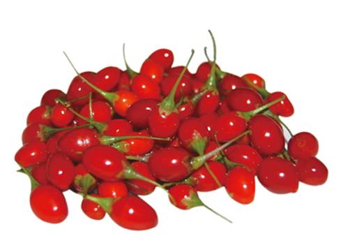 Línea de procesamiento de bebidas Wolfberry