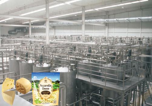 Cheese Processing Equipment
