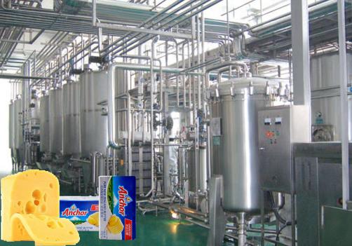 AMF Processing Line