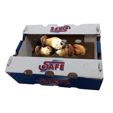 Mushroom Carton