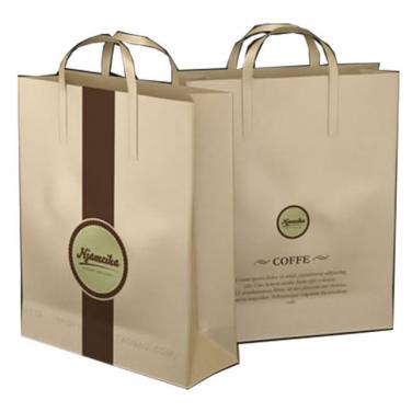 Eco Friendly Paper Bag