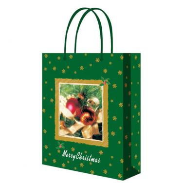 Custom Paper Gift Shopping Bag