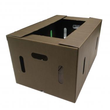 Waxdip Fruit Packing Box