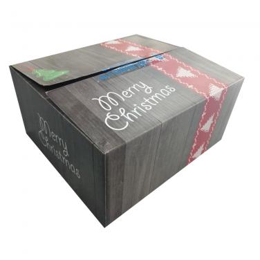 Printed Christmas RSC Carton Box