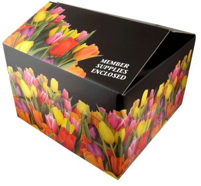 Fancy Design flower box