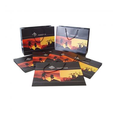 Professional OEM Printing Colorful Packaging Gift Bag