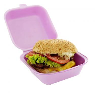 Foam Hamburger Box