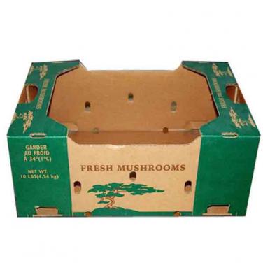 Wholesale Mushroom Carton