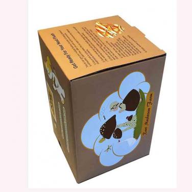 New Design Color Printed Mushroom Box