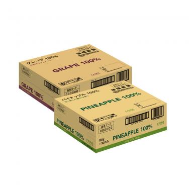 Pineapple Carton Box for Packaging and Shipping
