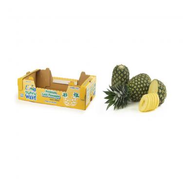 Pineapple Export Boxes