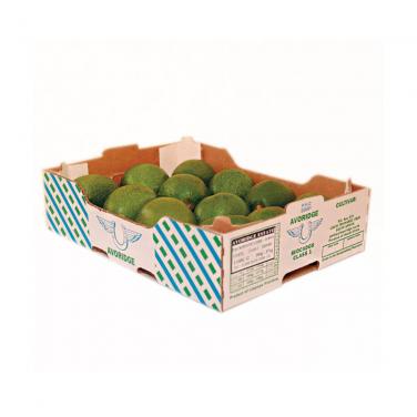 Printing avocado carton corrugated box