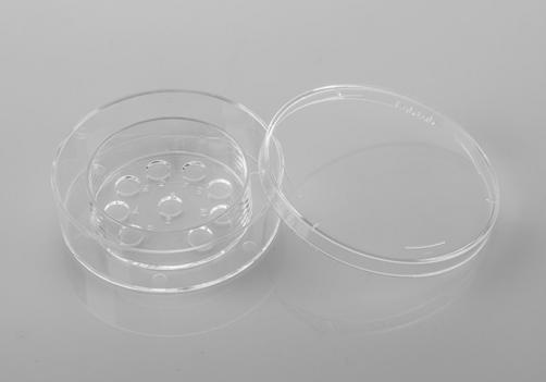 Blastocyst Culturing Dish