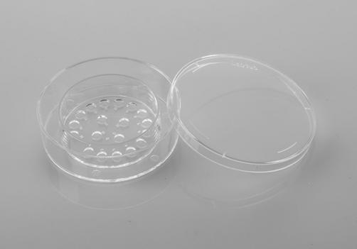 Cleavage Stage Embryo Culturing Dish