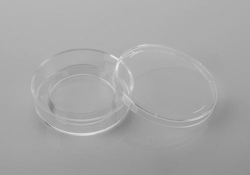 Embryo Culturing Dish