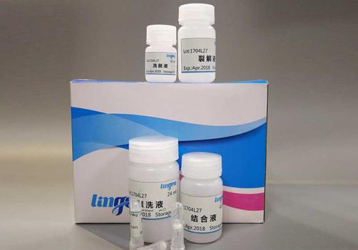 Blood Genomic DNA Extraction Kit