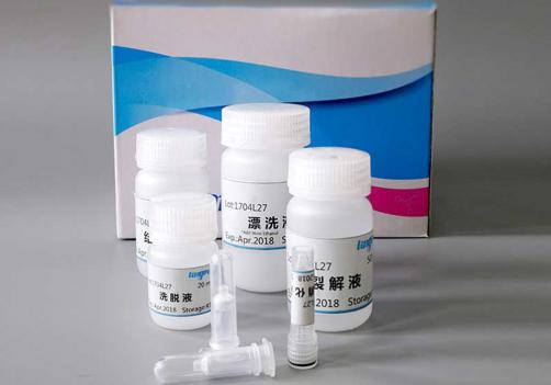 Buccal Swab Genomic DNA Extraction Kit