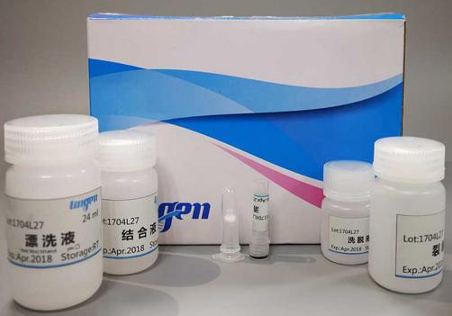 Serum  Plasma Circulating RNA Extraction Kit